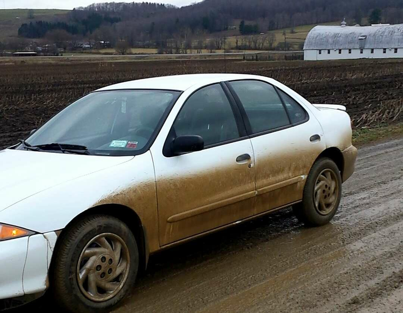 Illustration for article titled Rally Cavalier!